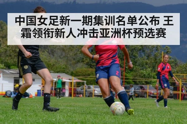 中国女足新一期集训名单公布 王霜领衔新人冲击亚洲杯预选赛